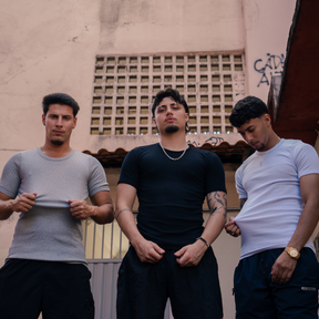 3x Camisetas Caneladas Slim  - Basic Pack